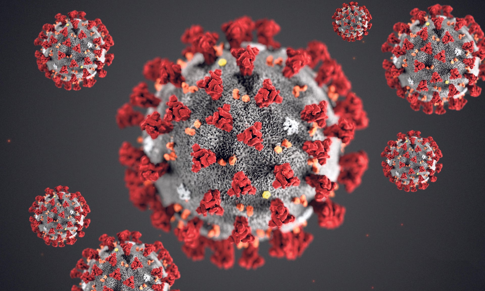 Coronavirus